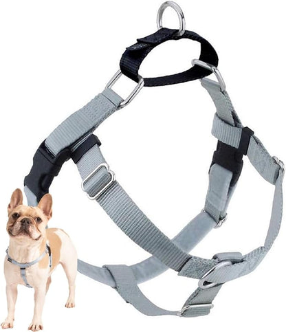 2 Hounds Design Freedom No Pull Dog Harness, Adjustable Harness, Easy Walking & Comfortable Control, Fits Small, Medium & Large Dogs, Solid Colors, Made in USA, 1" XXL, Silver