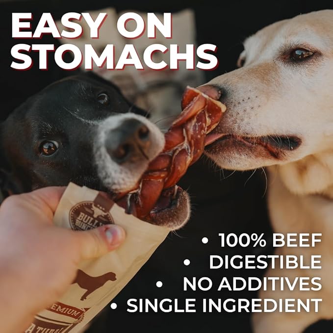 Bully Bunches All Natural 6" Standard Braided Bully Sticks - Odour Free, Rawhide Free, Chemical Free - Safe, Long Lasting Thick Beef Dog Chews - Fully Digestible Treat for Small and Medium Dogs, 10 Pk