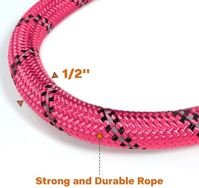 Taglory Rope Dog Leash 4 FT with Comfortable Padded Handle, Highly Reflective Threads Leash and Anti-Tangle Clip for Walking Medium Large Dogs, 1/2 inch, Pink