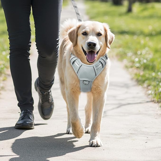 BARKBAY No Pull Dog Harness Large Reflective Dog Harness with Front Clip and Easy Control Handle for Walking Training Running with ID tag Pocket(Grey,L)