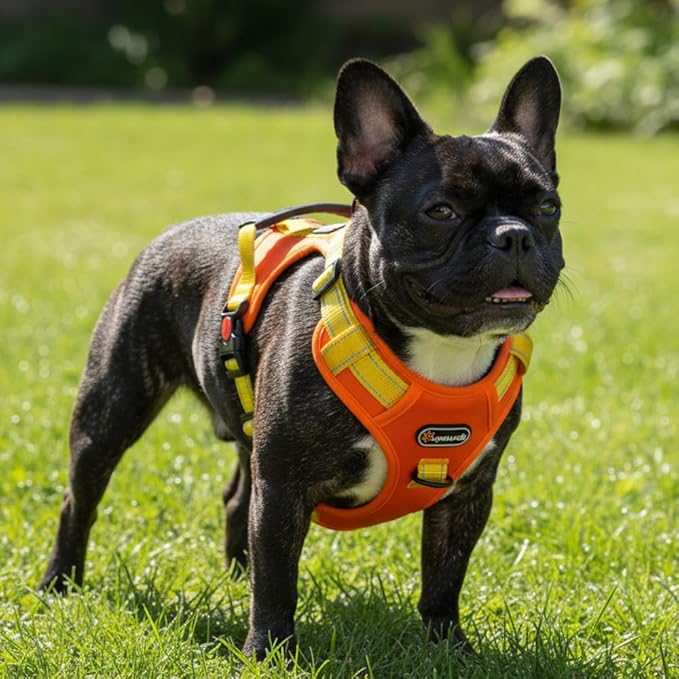 Tactical Dog Harness for Large Medium Dogs No Pull Adjustable Pet Vest with Reflective Straps Front & Back Clips Handle for Hiking Walking Hunting– 4 Sizes with or Without Leash (Orange, S)