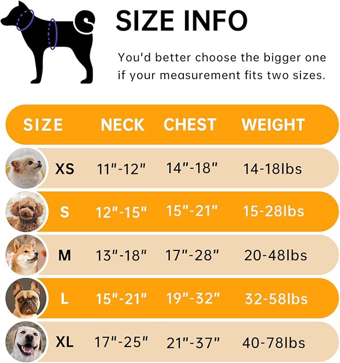 IVY&LANE No Pull Dog Harness for Small Dogs, Vest Harness with Leash, Safety Belt and Storage Strap, Fully Adjustable, 360° Reflective Strip, Soft Handle (Orange, S)