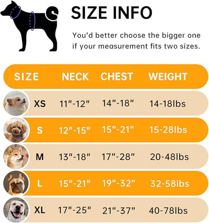 IVY&LANE No Pull Dog Harness for Large Dogs, Dog Vest Harness with Leash, Safety Belt and Storage Strap, Fully Adjustable Harness, 360° Reflective Strip, Soft Handle (Orange,X-Large)