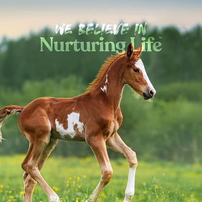 Manna Pro Nurse All Multi-Species Milk Replacer, Powered by Opti-Gut™ to Support Gut Health & Digestion, All-Milk Protein, Easy-To-Mix Formula, 8 Pounds