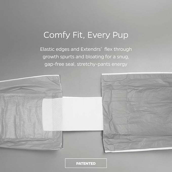 Pet Parents® DiPees® Disposable Belly Bands for Male Dogs + Extendrs®, Male Dog Wraps, Leak Proof, Up to 83% Plant Based, Premium Disposable Dog Diapers Male (Grey, Large (20-27"), 10ct)
