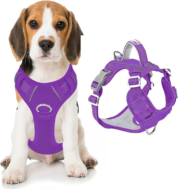 BARKBAY Dog Harness No Pull Oxford with ID Tag Pocket - Heavy Duty, Reflective, Easy Control for Large Dogs(Purple Oxford,M)