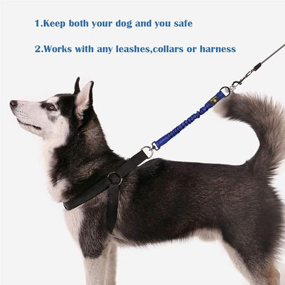 Bungee Leash Extension Attachment, 18" Shock Absorbing Lead Extension Absorber, Prevent Injury on Arm and Shoulder & Save Dogs from Getting Hurt, Great for Bicycle, Running, Walking,Blue