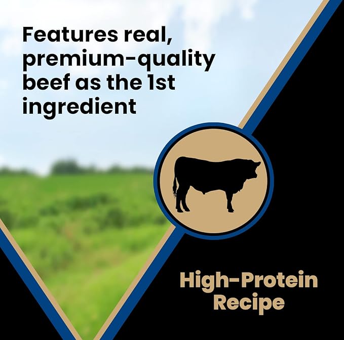 VICTOR Super Premium Dog Treats – Classic Hi-Pro Savory Strips with Real Beef – Supports Immune System, Digestive Health, & Healthy Coat – Tender Beef Snack for Active and Sporting Dogs, 14 oz