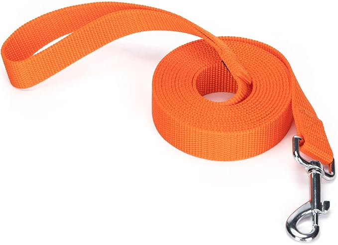 Strong Durable Nylon Dog Training Leash, 1 Inch Wide Traction Rope, 6 ft 10ft 15ft Long, for Small and Medium Dog (Orange, 10 Feet)
