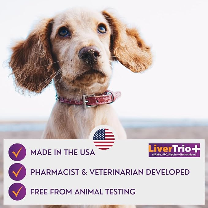 Comprehensive Liver Support Supplement for Smaller Dogs. Flavorful Chewable Tablets Combining Same, SPC, Silybin A+B, + Glutathione 30Ct (Small - Medium)