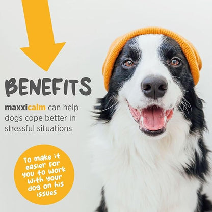 maxxicalm Calming Tablets for Dogs (60) – Fast-Acting Calm & Relaxation Support – Fireworks, Thunderstorms, Separation & Travel Stress – Non-Drowsy – Made in USA