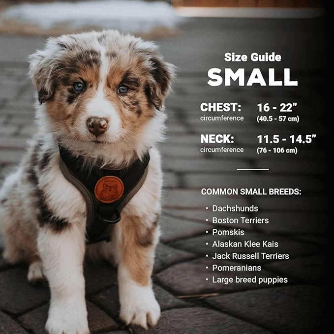 Wilderdog Lightweight Dog Harness with Reflective Straps - Small - Seafoam