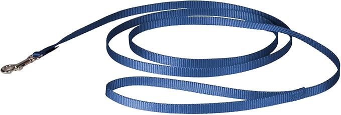 PetSafe Nylon Leash - Strong Dog Leash for Everyday Use - Secure & Simple Design for Reliable Control - Lightweight with Durable Hardware - 3/8 Inch - 6 Feet - Blue