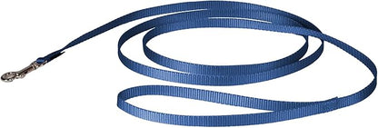 PetSafe Nylon Leash - Strong Dog Leash for Everyday Use - Secure & Simple Design for Reliable Control - Lightweight with Durable Hardware - 3/8 Inch - 6 Feet - Blue