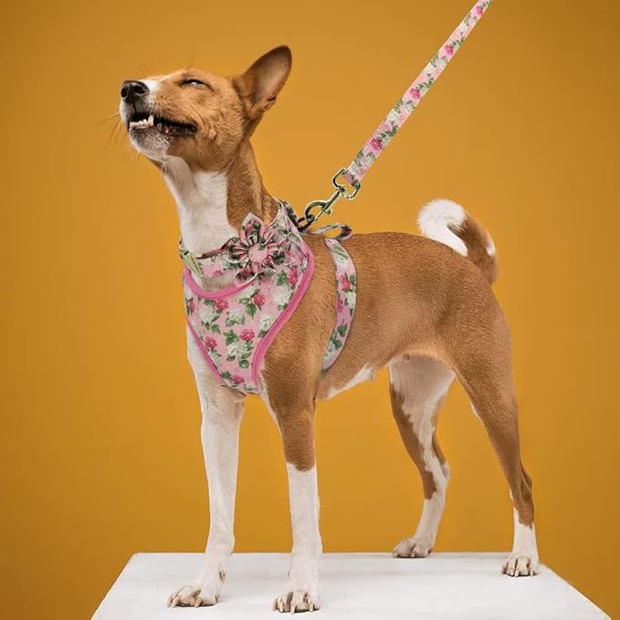 Beirui Cute Girl Dog Collars, Harnesses & Leashes Set - Adjustable Dog Collar and Leash Set with Flower - Soft Mesh Dog Vest Harness for Puppies Small Medium Dogs (Pink,XS)