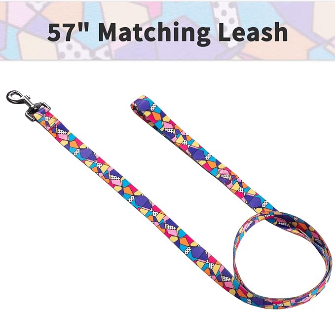 Ihoming Puppy Collar and Leash Set for Daily Outdoor Walking Running Training, Geometric Design for Extra Small Boys Girls Dogs Cats Pets, XS-Up to 10LBS