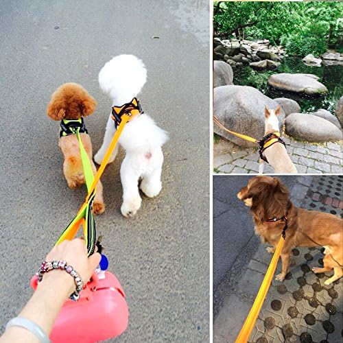Creation Core Reflective Nylon Dog Harness and Training Leash Set Padded Durable Adjustable, Green XS