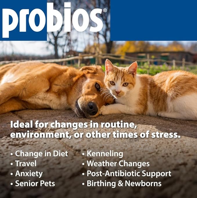 Probios for Dogs Soft Chews, Probiotics for Dogs, Daily Supplement for Gut Health, Digestion & Immune Support, Medium & Large Breeds, 8.46oz