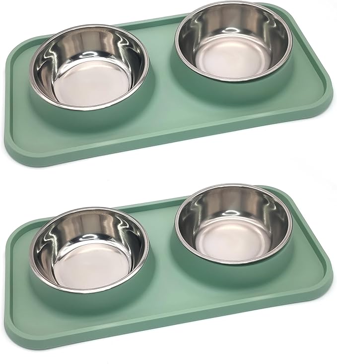 BNOSDM 2 Pcs Double Dog Food Bowls, Stainless Steel Small Dog Food and Water Bowls with Non-Spill Plastic Mat, Pet Cat Feeder Dish Set for Puppy Cats Kitten, Green
