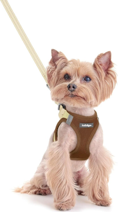 rabbitgoo Dog Harness Small Sized and Leash Set, Step in Soft Light Puppy Vest, Breathable Mesh Pet Harness, Reflective for Safe Easy Walking, Brown & Beige XXS