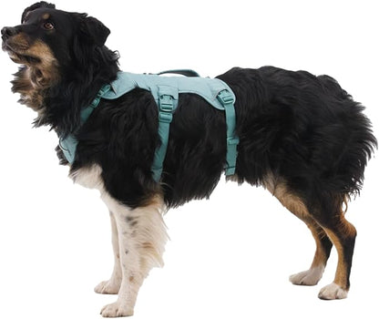 Ruffwear, Web Master, Multi-Use Support Dog Harness, Hiking and Trail Running, Service and Working, Everyday Wear, Blaze Orange, X-Small