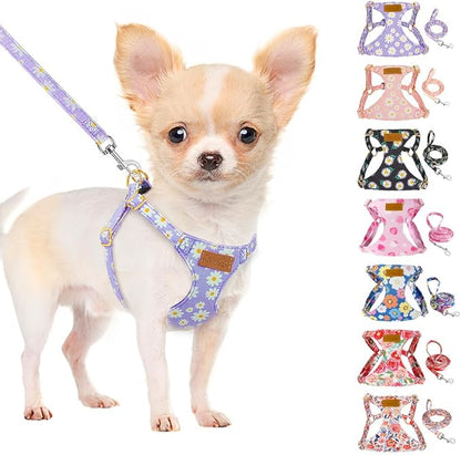 SlowTon Dog Harness Small Sized Dog - Soft XXS Dog Harness and Leash Set No Pull No Chock, Adjustable Lightweight Puppy Harness for XS Small Medium Dogs Cats (Purple Dasiy, M)