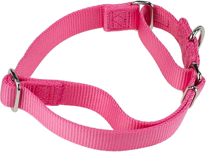 Hyhug Martingale Collar for Dogs Small Pink |Escape - Proof Heavy Duty Nylon Durable No Buckle, Ideal for Training & Daily Walks