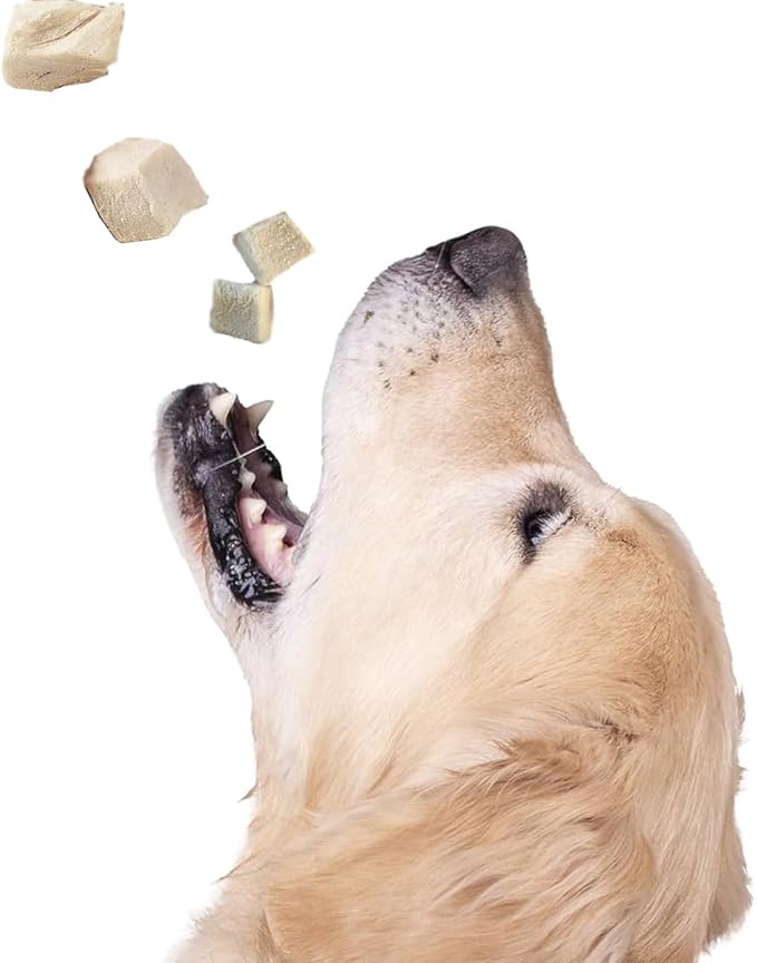 Just Chicken Raw Freeze-Dried Bites Two-Pack Single Source Dog & Cat Treats Food Topper - Training Treasure, Perfect for Picky Eaters, Grain-Free, Protein Rich (2 Packs) (2.0 oz each, Just Chicken)