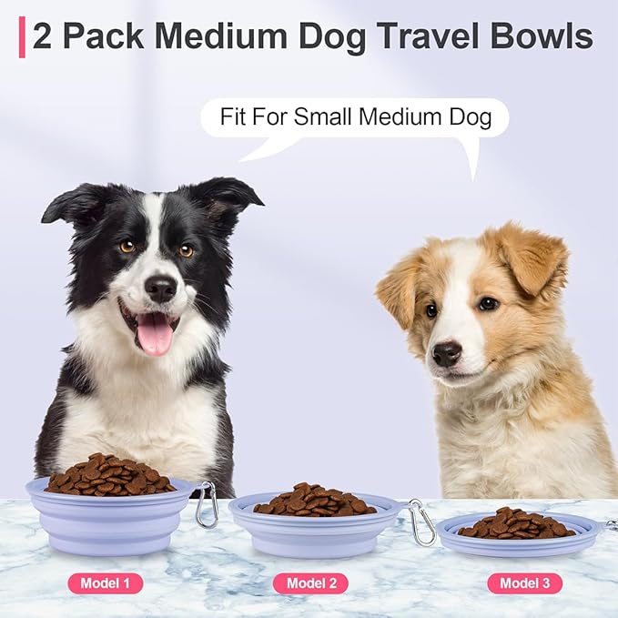 Kytely Collapsible Dog Bowls Medium, 2Pack Foldable Dog Travel Bowl, Portable Pet Water Food Bowl with Clasp, Pet Cat Feeding Cup Dish for Traveling, Walking, Hiking (Lavender & Pink)