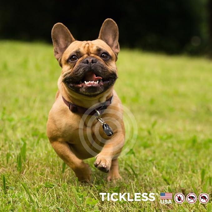 Tickless EcoPet Ultrasonic Tick and Flea Device | Free of Fragrances and Odors | Protection for Cats and Dogs | Lasts 6 Months | Safety in Nature and Cities | On Collar, Harness | for All Pet Sizes