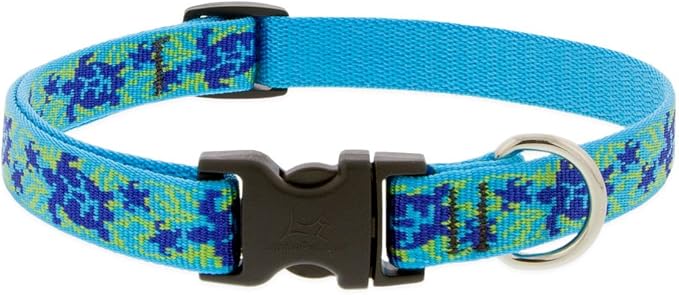 LupinePet Originals 3/4" Turtle Reef 15-25" Adjustable Collar for Large Dogs