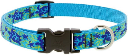 LupinePet Originals 3/4" Turtle Reef 15-25" Adjustable Collar for Large Dogs