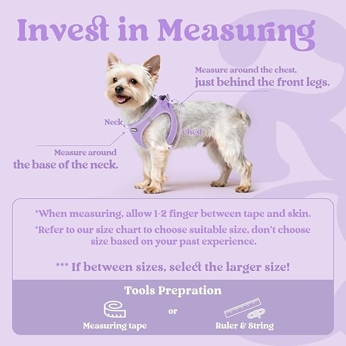 rabbitgoo Small Dog Harness, Step-in Soft Mesh Puppy Vest with Safety Buckle, Breathable Reflective Pet Harness for Extra Small Dogs, Light Purple XXXS