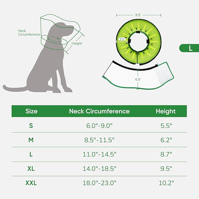Sponge Dog Cone Collar, Dog Recovery Collar Alternative with Detachable High Clear Shield, Adjustable Soft Neck Cone for Small Medium Large Dogs, Stop Licking After Surgery (Kiwi,L)