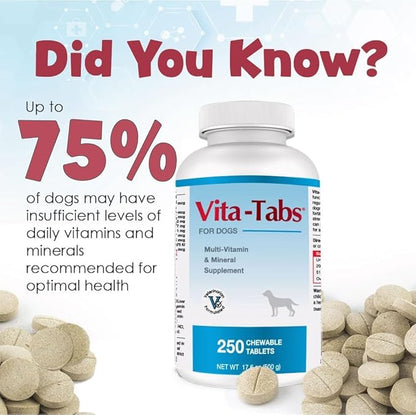for Dogs Multivitamin & Mineral Supplement, Veterinarian Recommended Vitamin-Mineral Nutritional Support, Daily Chewable Tablets for Skin Coat Energy & Overall Wellness, 60 Chewable Tablets (4.2 oz)
