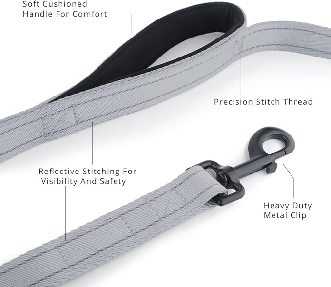 Plutus Pet Double Handle Dog Leash 4ft, Heavy Duty, Reflective Dual Handle Dog Leash for Safety Training, for Medium Large Dogs,2 Handle Leads(Gray)