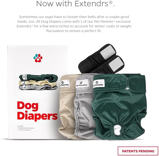 Pet Parents® Washable Dog Diapers (3pack) + Extendrs® of Durable Doggie Diapers, Premium Dog Diapers Female (X-Small, Spruce)