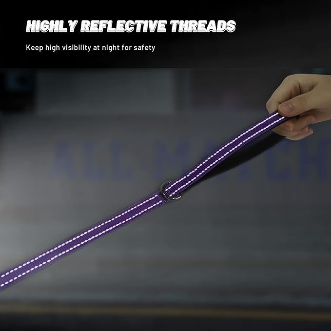 Roses&Poetry Reflective Dog Collar and Leash for Small Dogs, Puppy Collars with Leashes Set Gradient Violet, Adjustable Durable Pets for Extra Puppies（Violet-XS