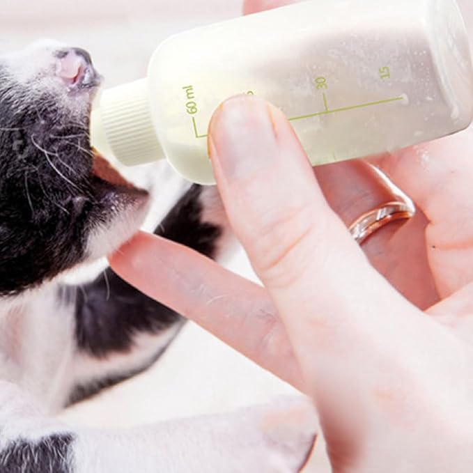 HEMOTON 1Set Small Pet Milk Bottle Reusable Nursing Bottles for Cats Kittens Puppies Small Animals Lightweight Durable Design for Easy Feeding at Home The Go