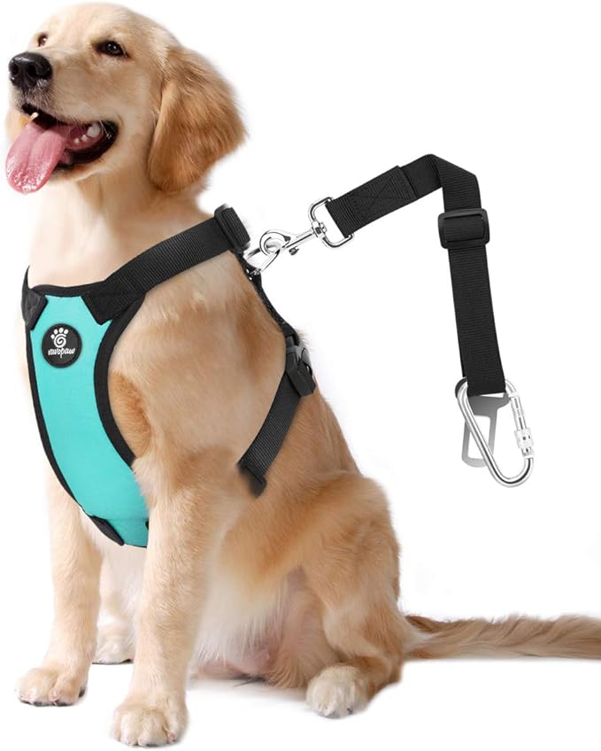 VavoPaw Dog Seat Belt, Safety Vest Dog Car Harness with Adjustable Buckle Dog Seat-Belt for Vehicle Nylon Pet Safety Seats Belts Heavy Duty(XL, Blue)