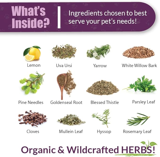 Amber NaturalZ Kidney Rejuvenator Herbal Supplement for Dogs, Cats, Birds, Rabbits, and Guinea Pigs | Supports Normal Kidney Function | Natural Aid for Kidney Health 4 Fluid Ounces