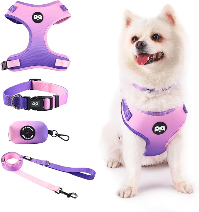 Dog Harness Collar Leash Combo,No Pull Adjustable Vest Cute for Small Puppy Medium Girl/Boy Pets with Poop Bag Holder(XSmall,Purple)