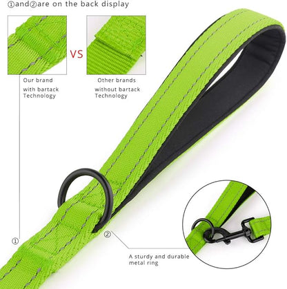 Plutus Pet Double Handle Dog Leash 4ft, Heavy Duty, Reflective Dual Handle Dog Leash for Safety Training, for Medium Large Dogs,2 Handle Leads(Green)