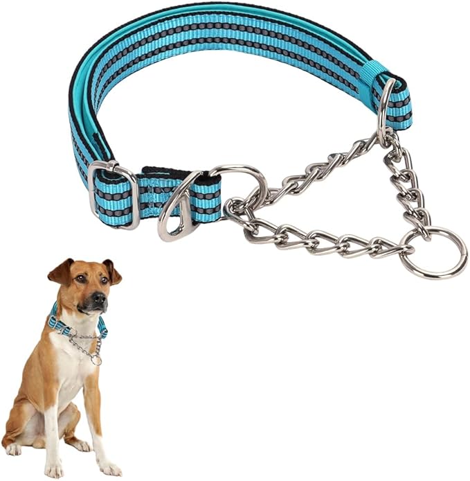 Choker Collar for Dogs，Stainless Steel Chain Martingale No Pull Slip Cinch Training Escape Proof Heavy Duty Dog Collar for Small Medium Large Pet Girl Female Dogs，Blue XL