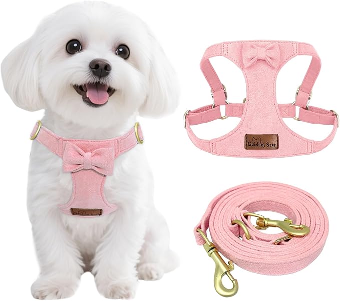 Guiding Star Dog Harness Small Sized Dog with Multifunction Leash, No Pull Puppy Dog Harness and Leash Set Training, Cute Soft Adjustable Dog Walking Harness Pet Vest Harness (Pink-S)