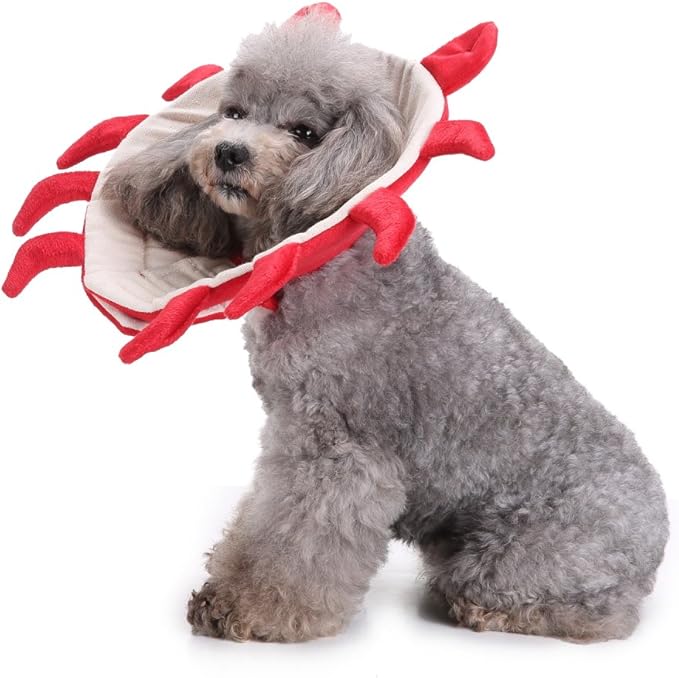 Pet Recovery Collar,Dog Protective E-Collar Soft Dog Cone Breathable Secure Lovely Collar for Puppy Small Medium Dogs (L-Neck: 38-41cm, Crab)