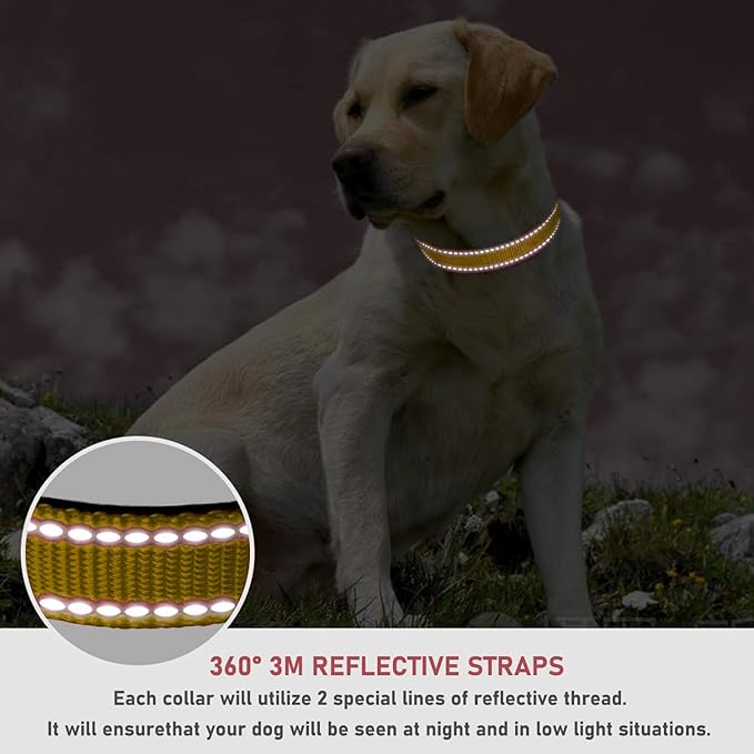 Reflective Dog Collar with Buckle Adjustable Safety Nylon Collars for Small Medium Large Dogs, Brown XS