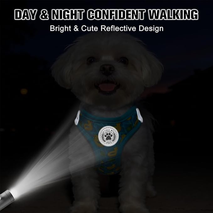 BEAUTYZOO Small Dog Harness and Leash Set,Step in No Choke No Pull Soft Mesh Dog Harnesses Reflective for Extra-Small/Small Medium Puppy Dogs and Cats,BlueDuck S
