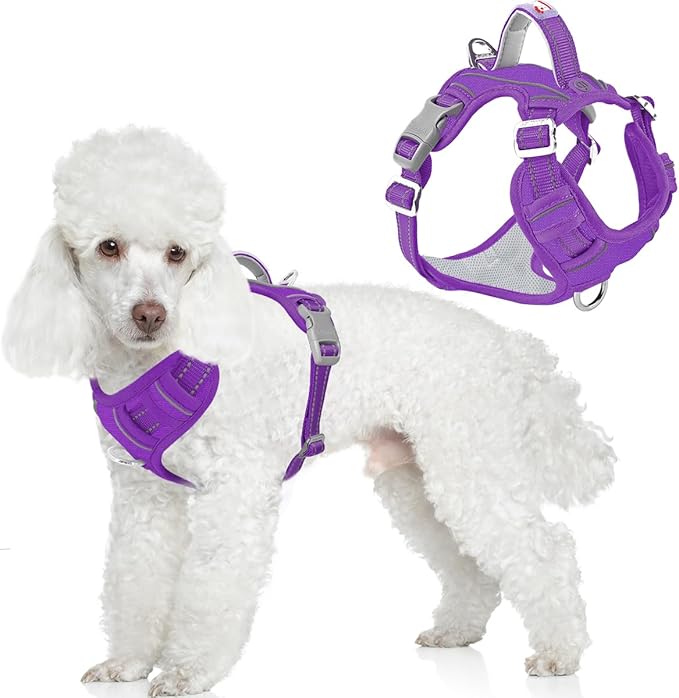 BARKBAY Dog Harness No Pull Oxford with ID Tag Pocket - Heavy Duty, Reflective, Easy Control for Large Dogs(Purple Oxford,XS)