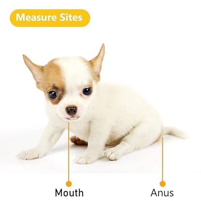 Animal Electronic Ehermometer Pet Thermometer Digital Thermometer is a Fast Rectal Thermometer for Dogs,Horse, Cats, Pigs,Sheep